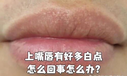 突然月经量少 该吃什么中药调理-突然月经量少 该吃什么中药网突然月经量少 该吃什么中药好知识网站,分享月经量少吃什么中药好大全